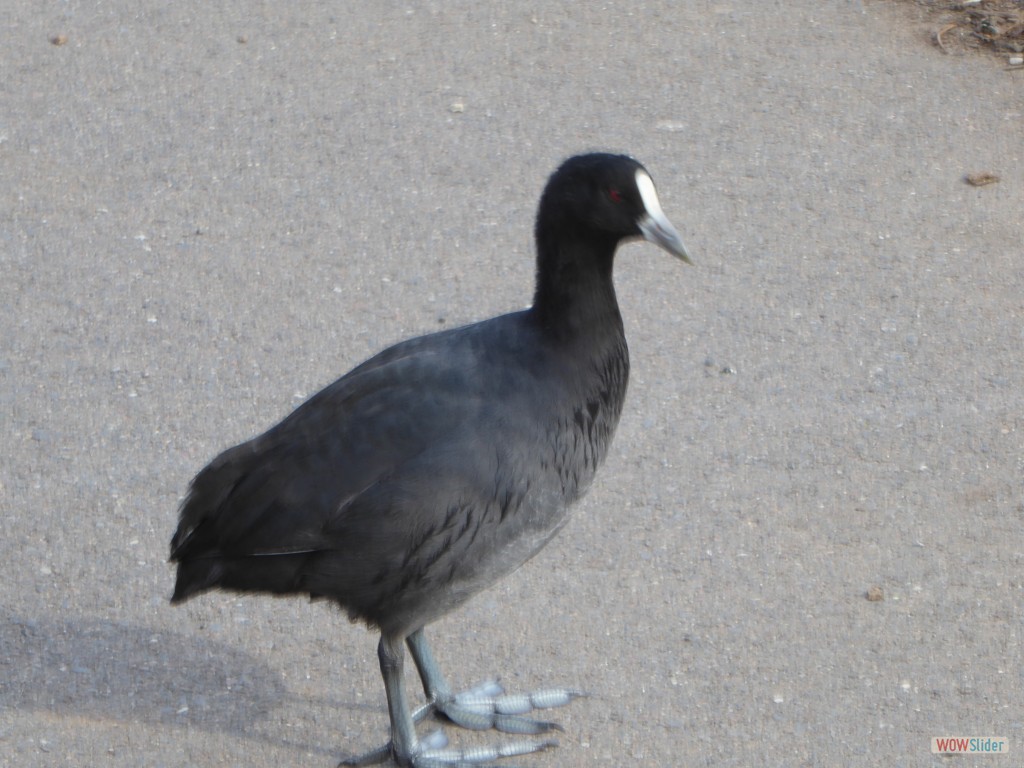 0501 Graeme03