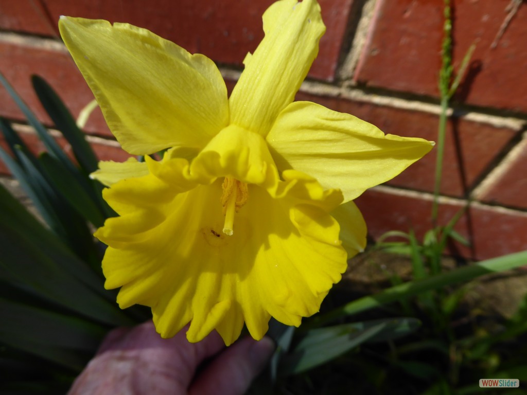 0828 Graeme07